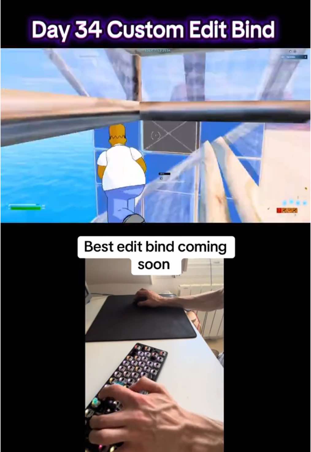 @thepenguintiktok