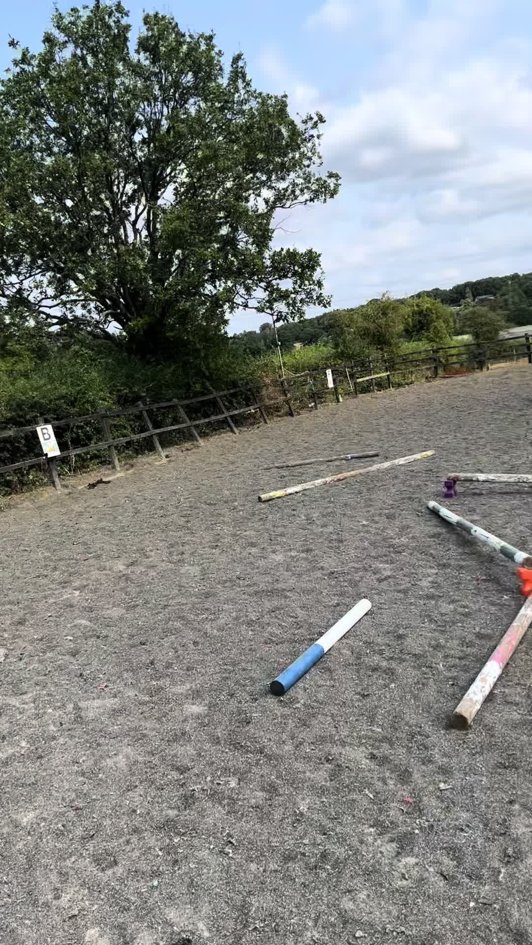 @Kitty equestrian.