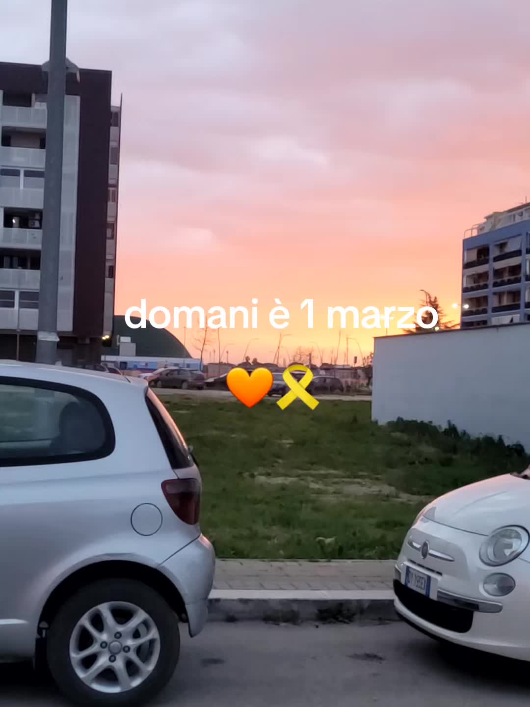 @account.sfogo8