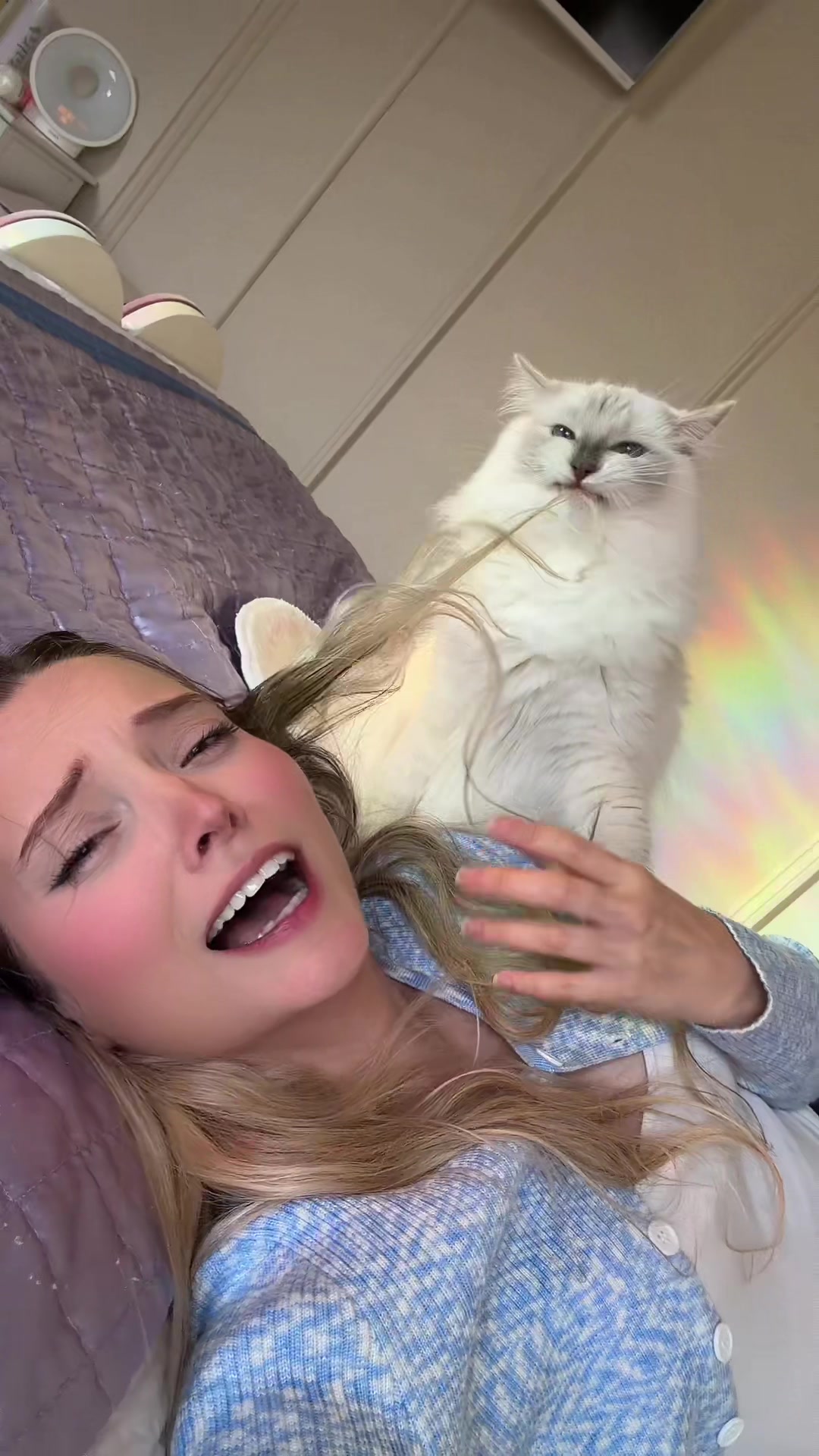 @Musicalchrissy