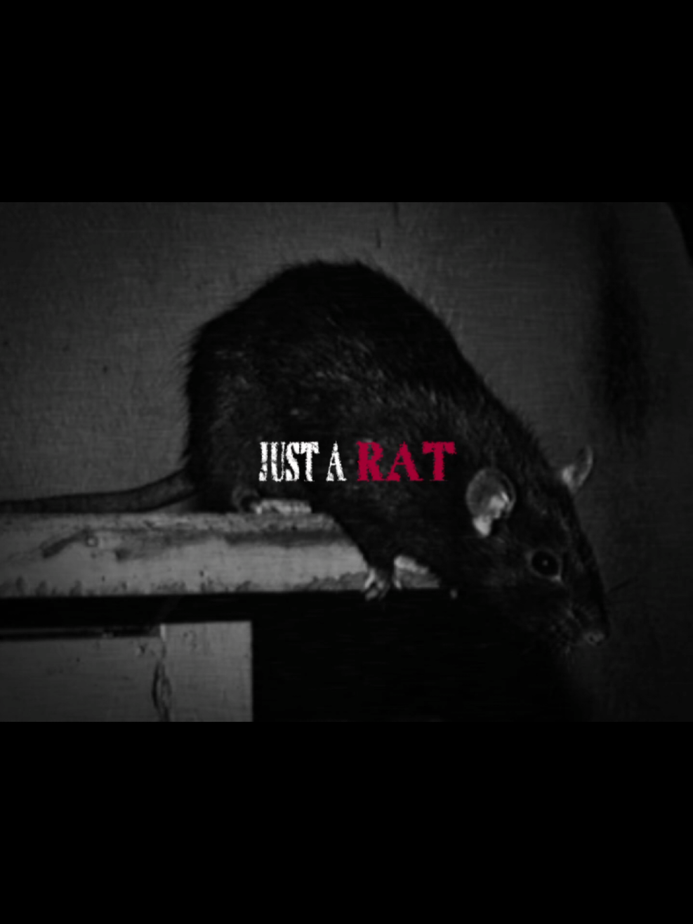@๐๐๐๐๐-๐๐๐๐