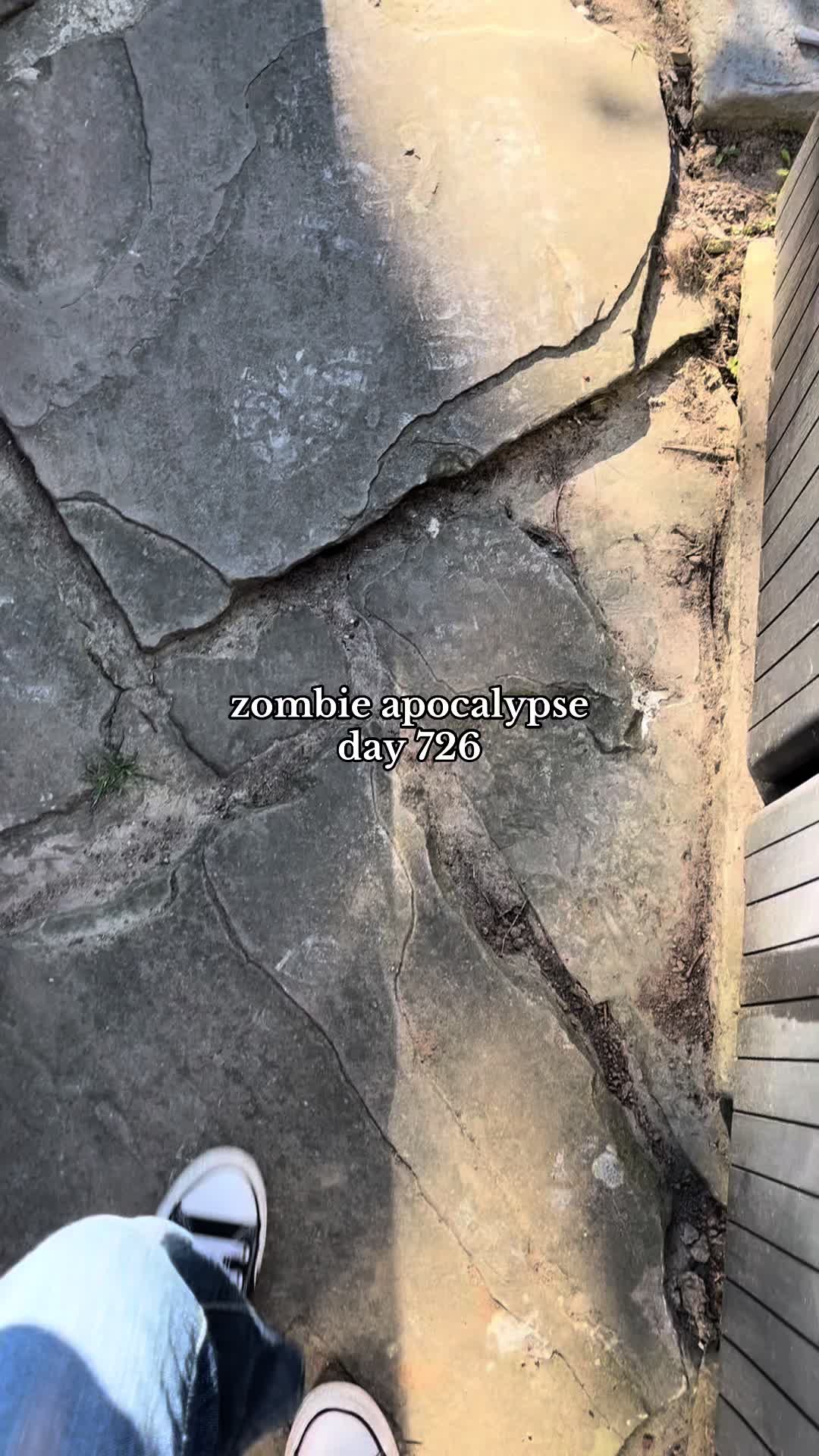 @𖦹⋆🦋₊˚