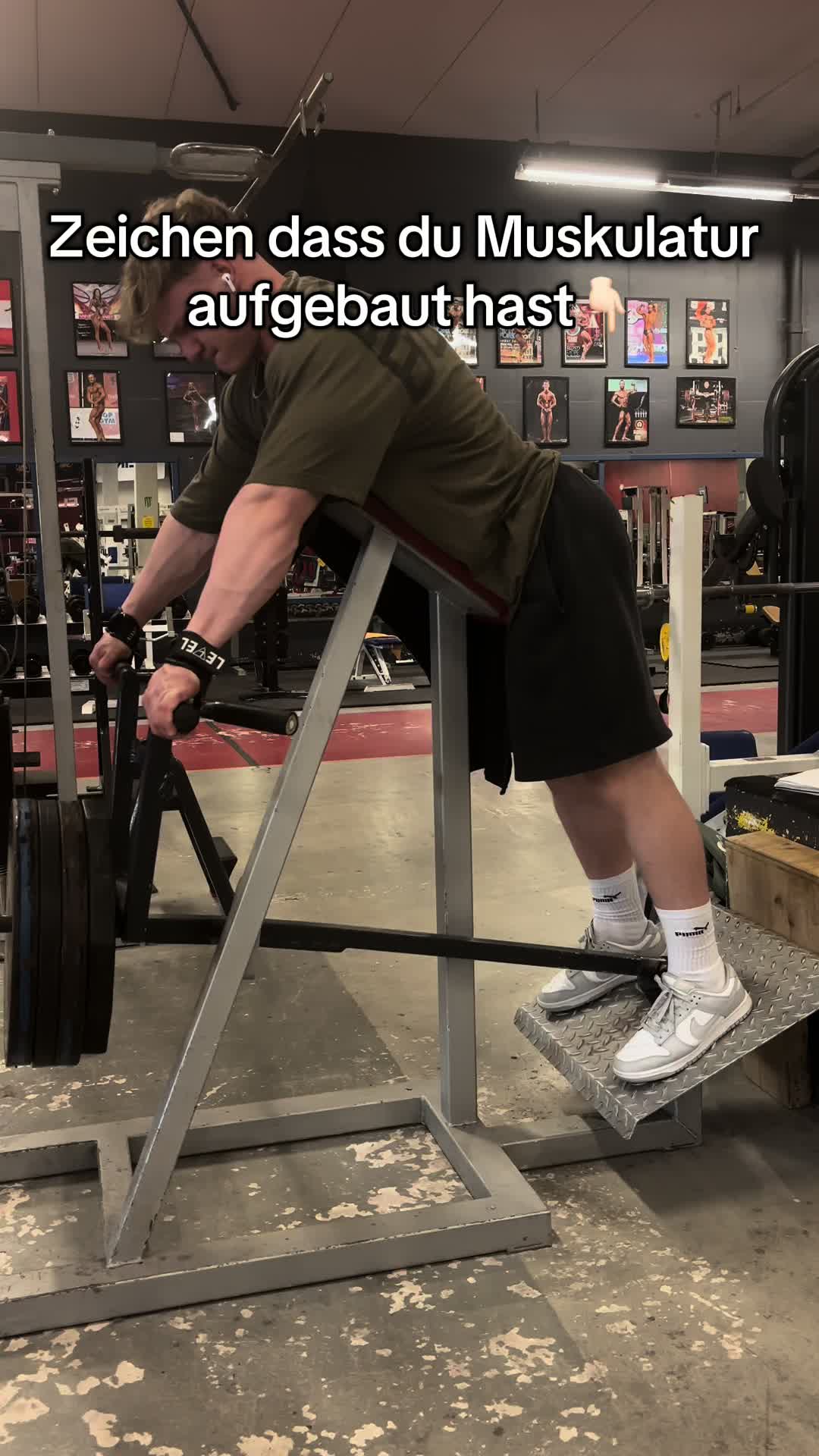 @leon.frnlb