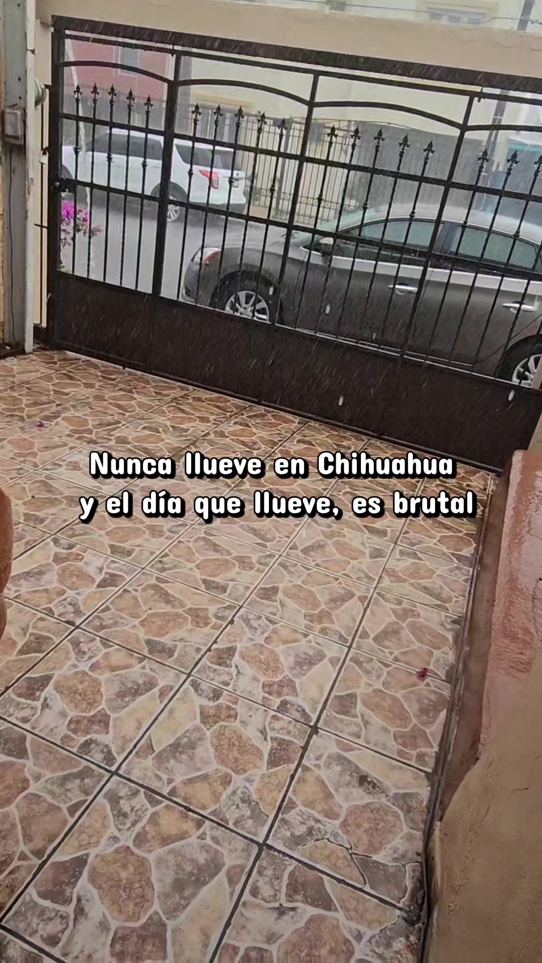 @Victoria Chacón