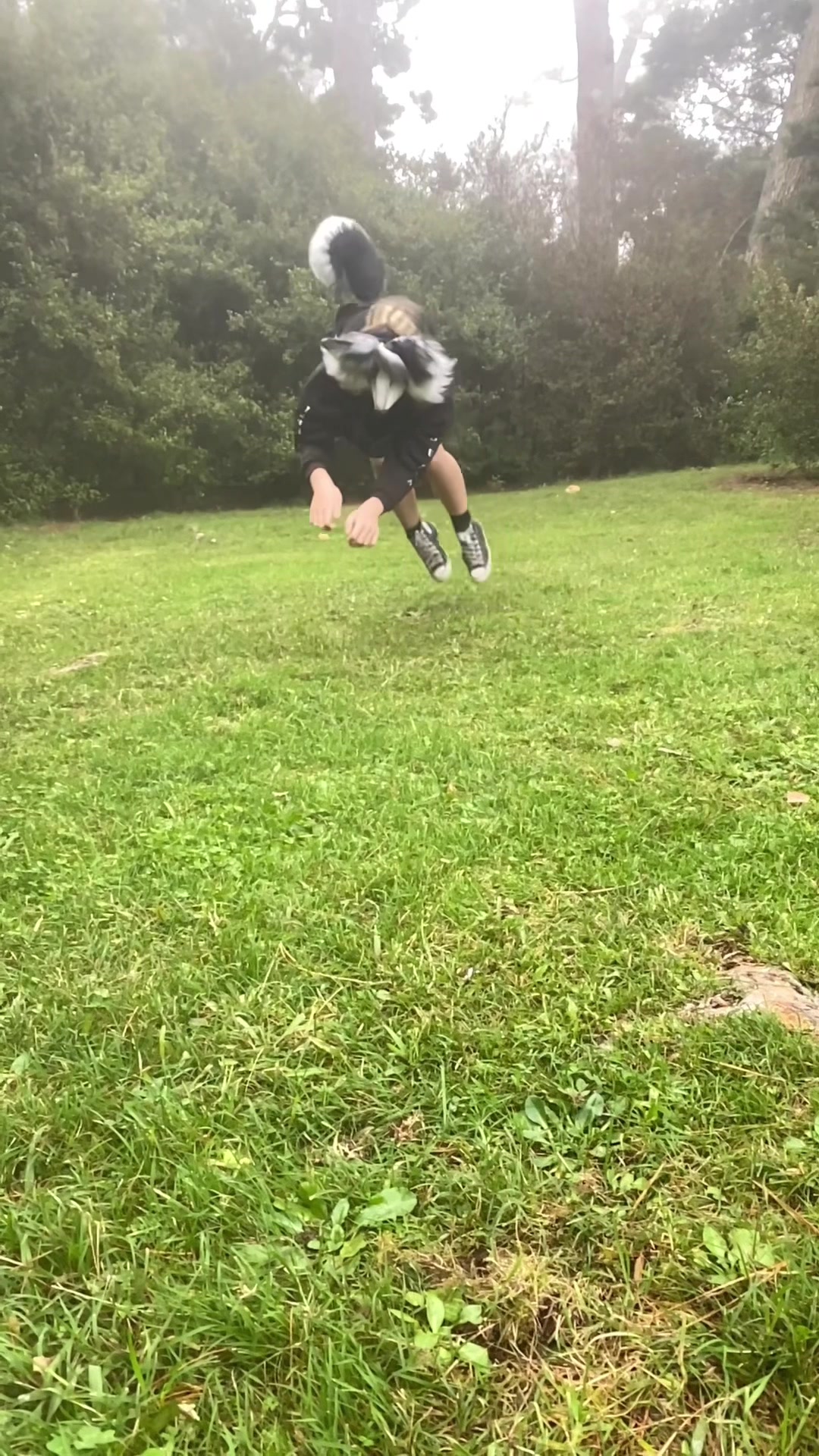 @∘✩ ᴍᴀᴘʟᴇ ✩∘ 🦴