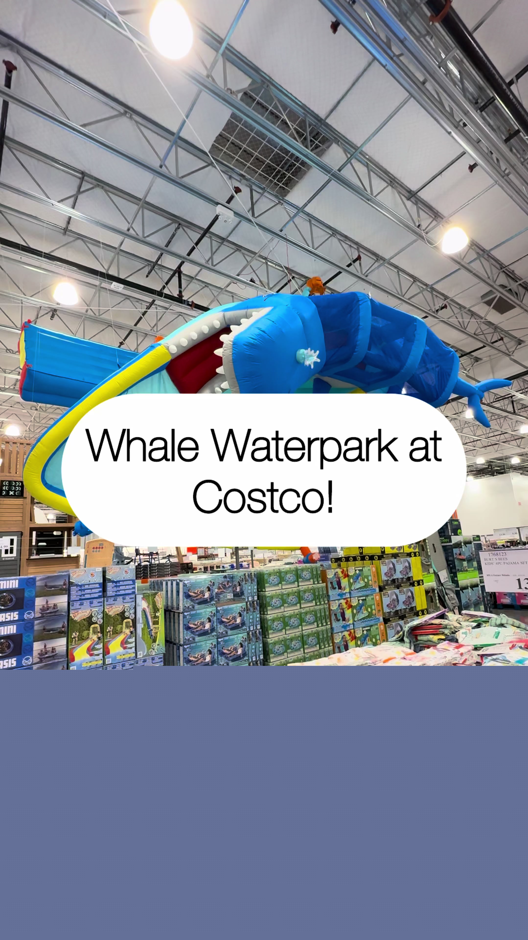 @CostcoHotFinds