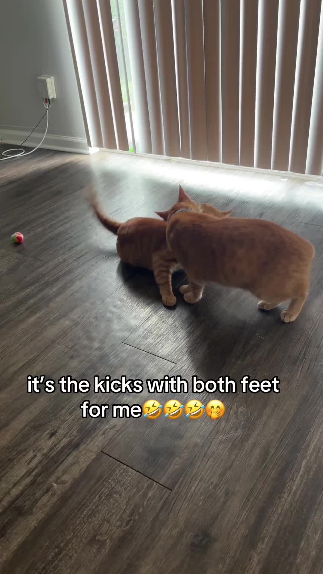 @𝐇𝐀𝐖𝐀𝐈𝐈𝐁𝐁𝐖🏝️