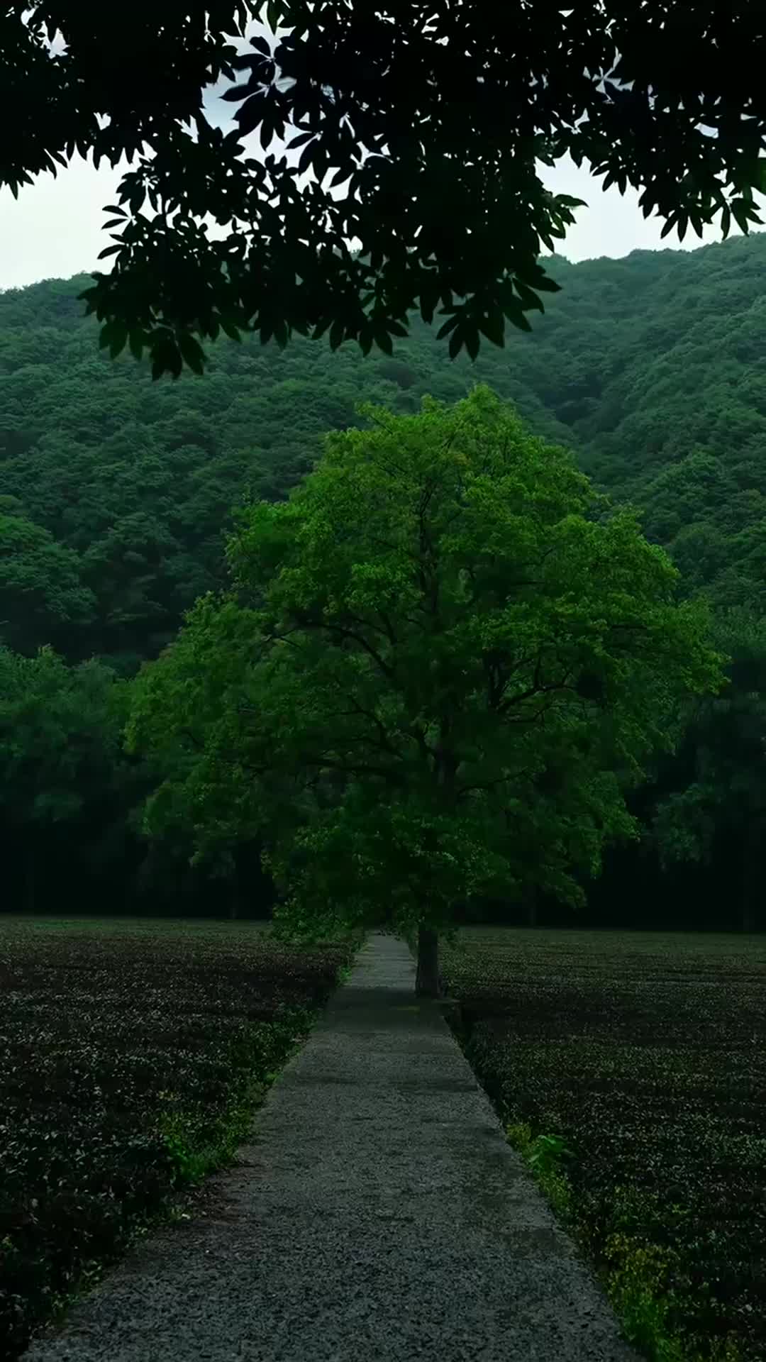 @hefxtom24433464
