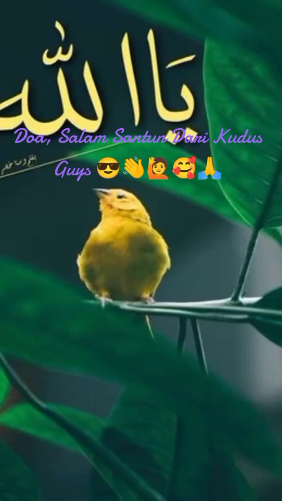 @Kamal Jumlat