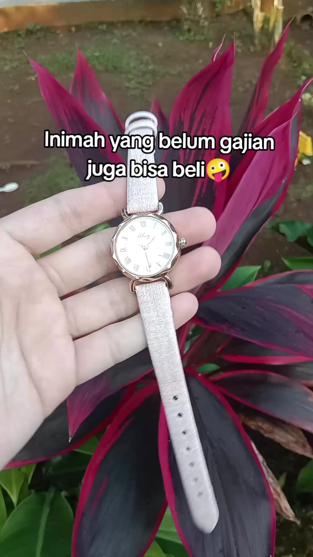 @S-tetik 🛒