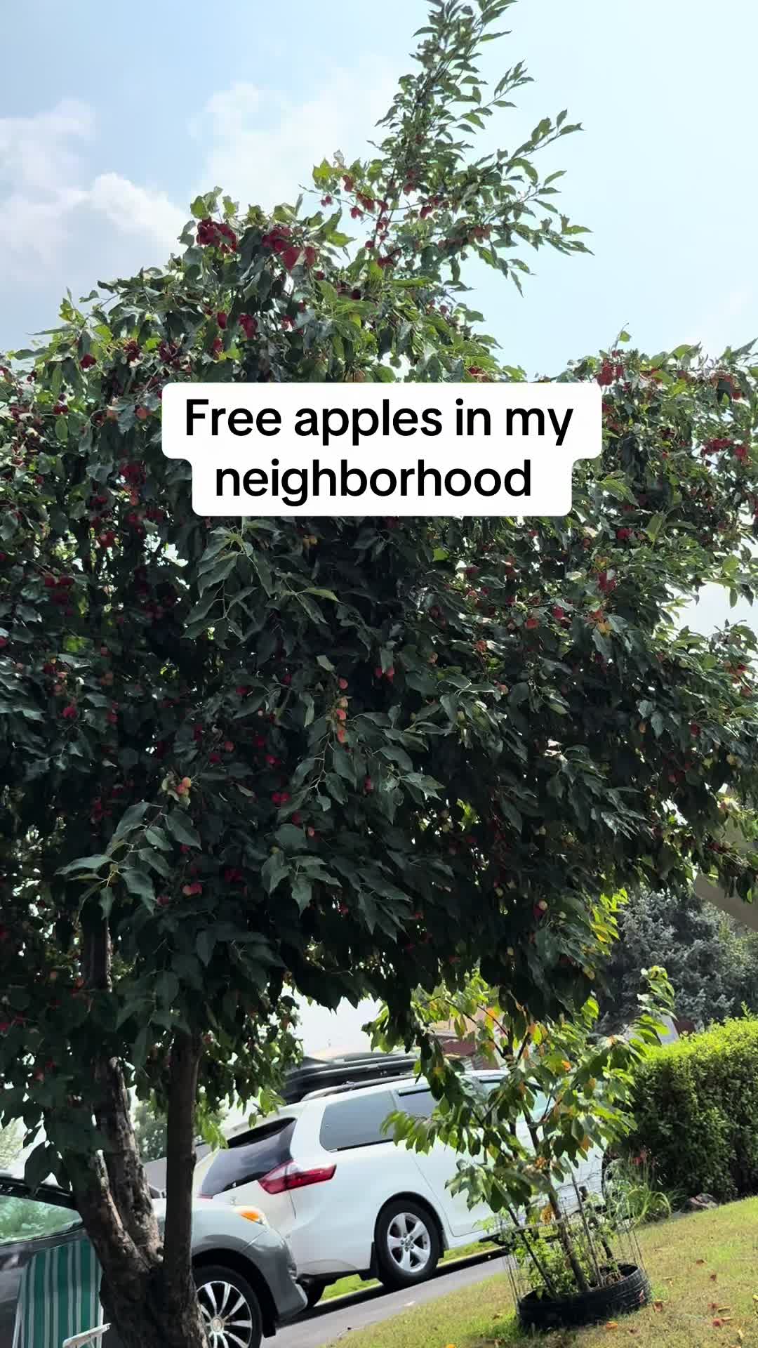 @Shalom