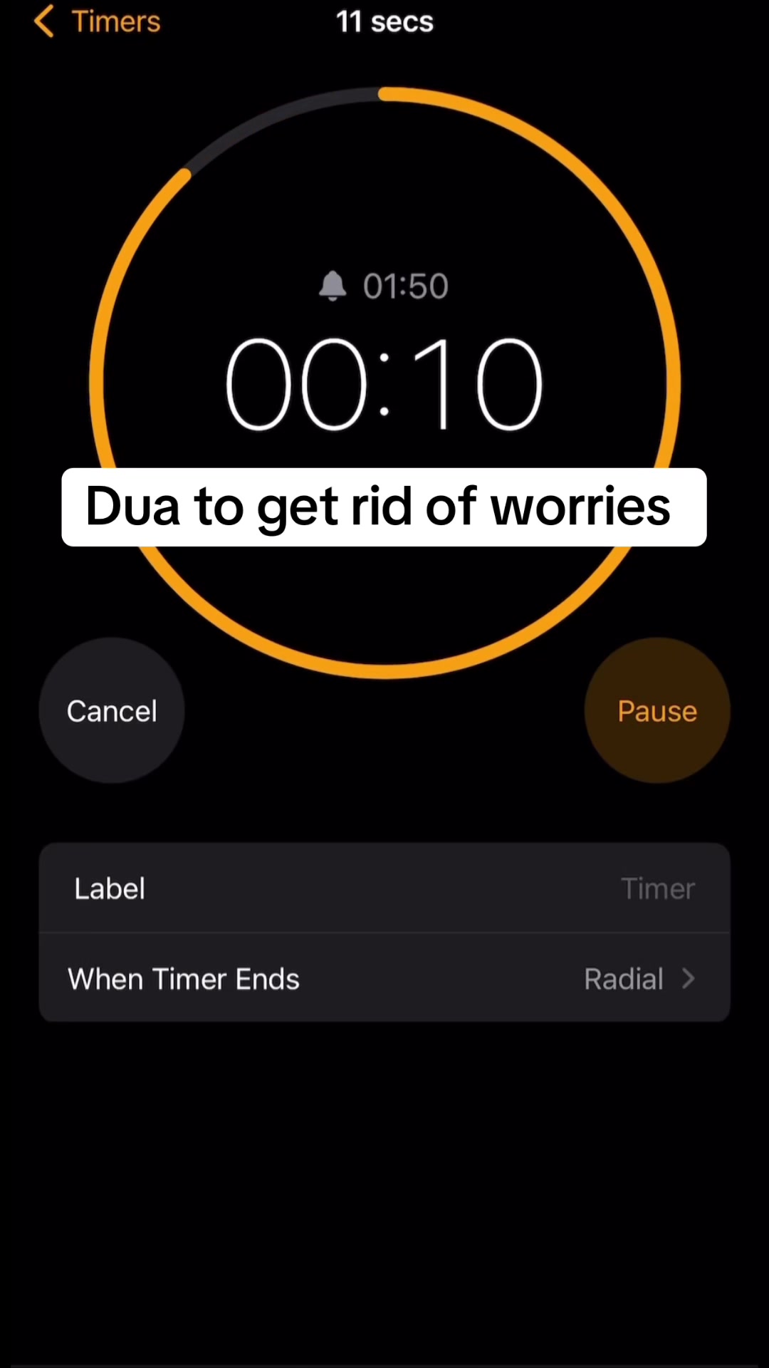 @•ᴗ•