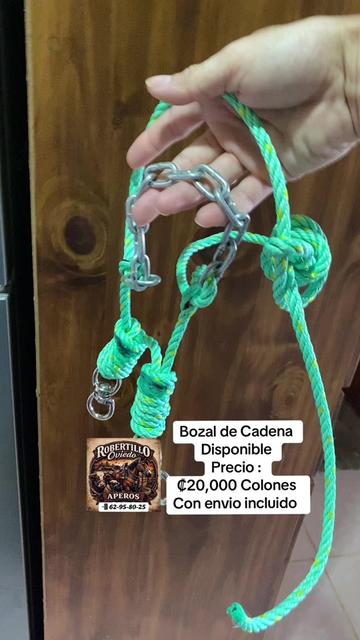 @RobertilloOviedo