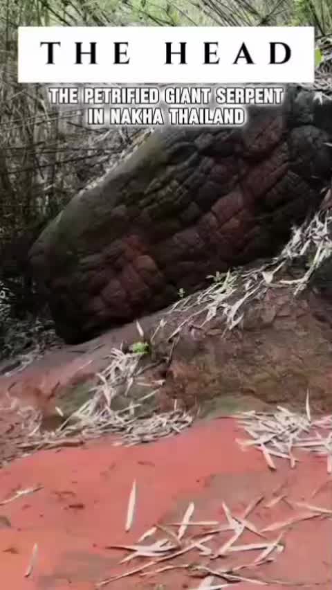 @𝕬𝖑𝖊𝖝 𝕯𝖔𝖑𝖒𝖔