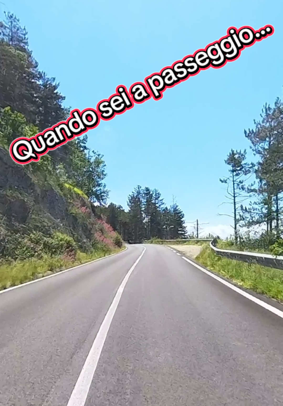 @Stefano.B