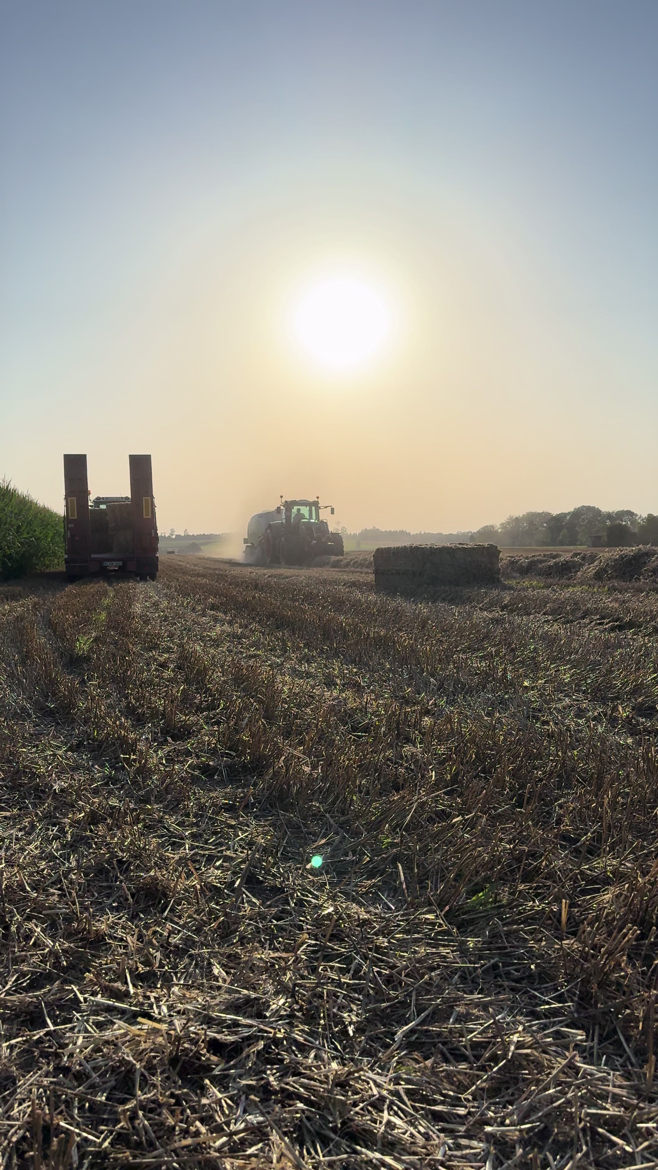 @Philipp_Agrar🌾🚨🚜🚨