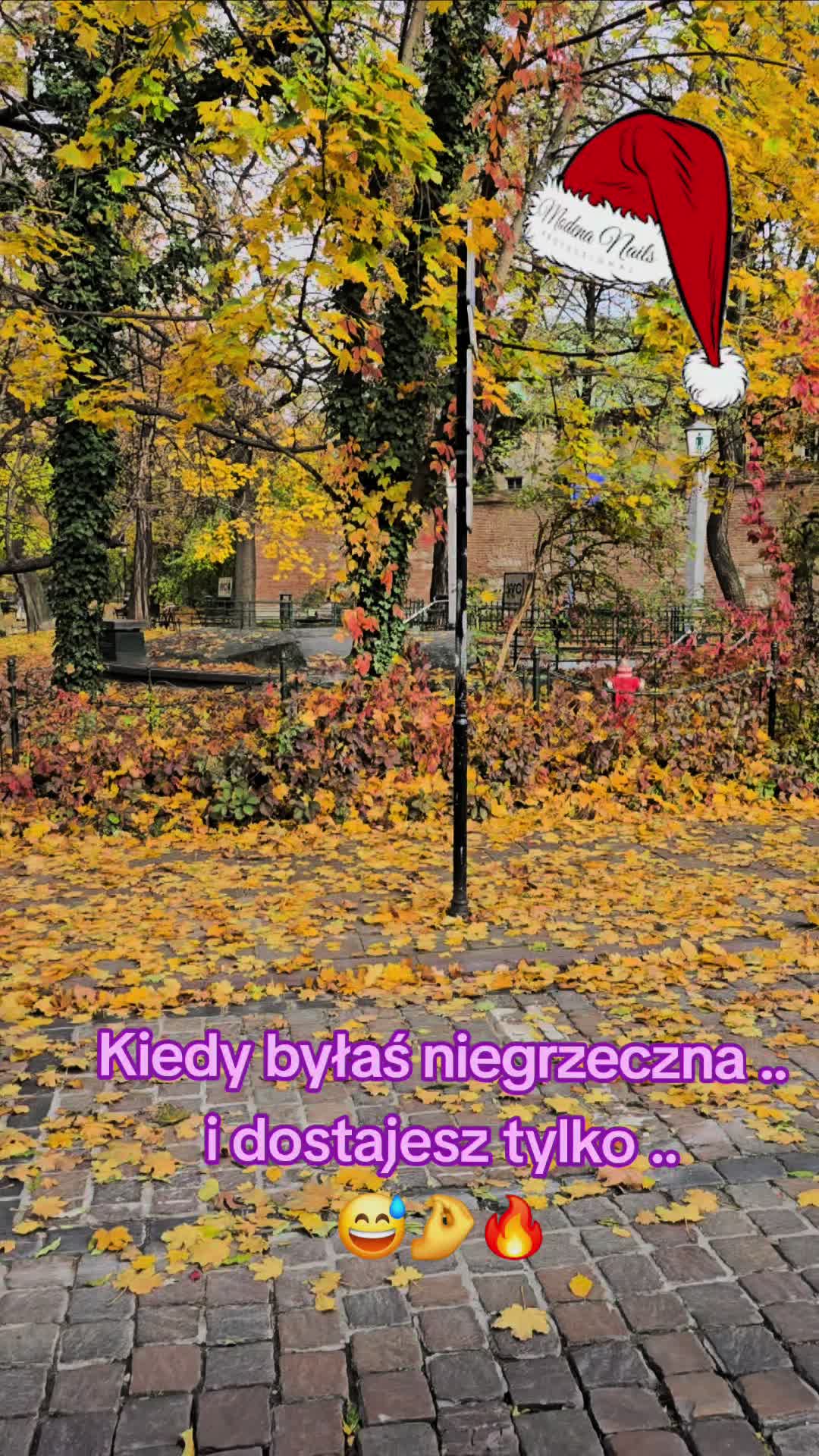 @sibuddesign