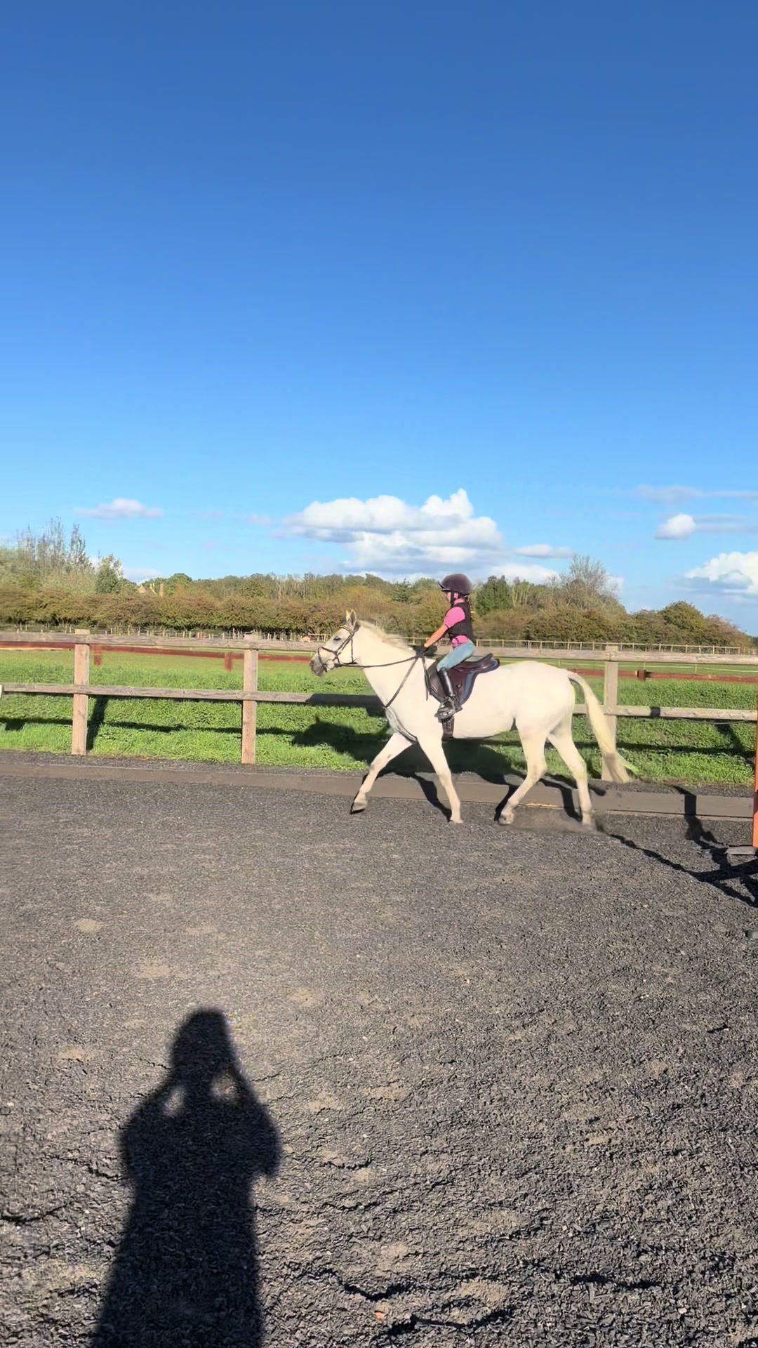 @Nina&rsquo;s Pony Adventures ❤️