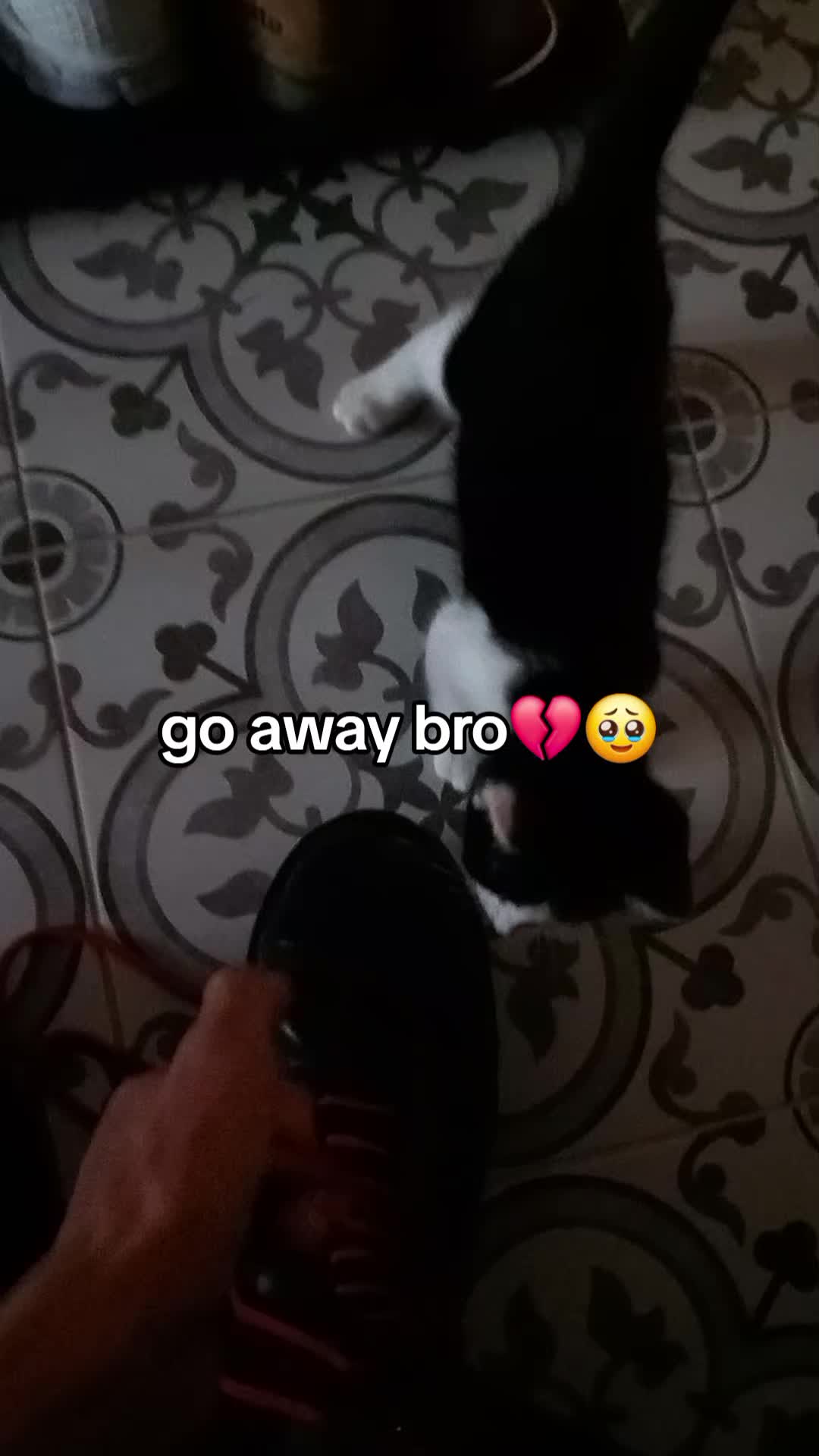 @user43908555204
