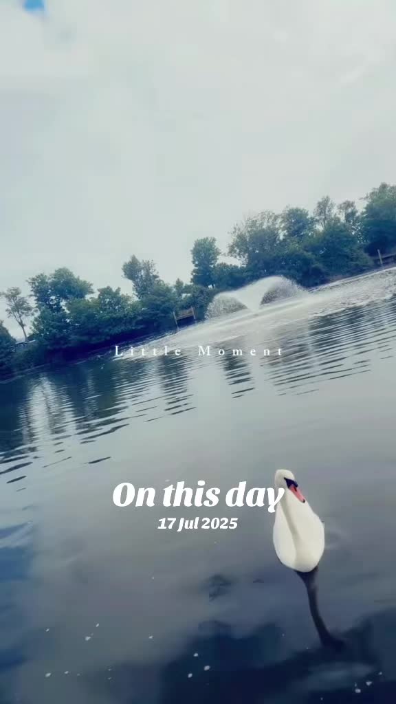 @Dilani 🇬🇧