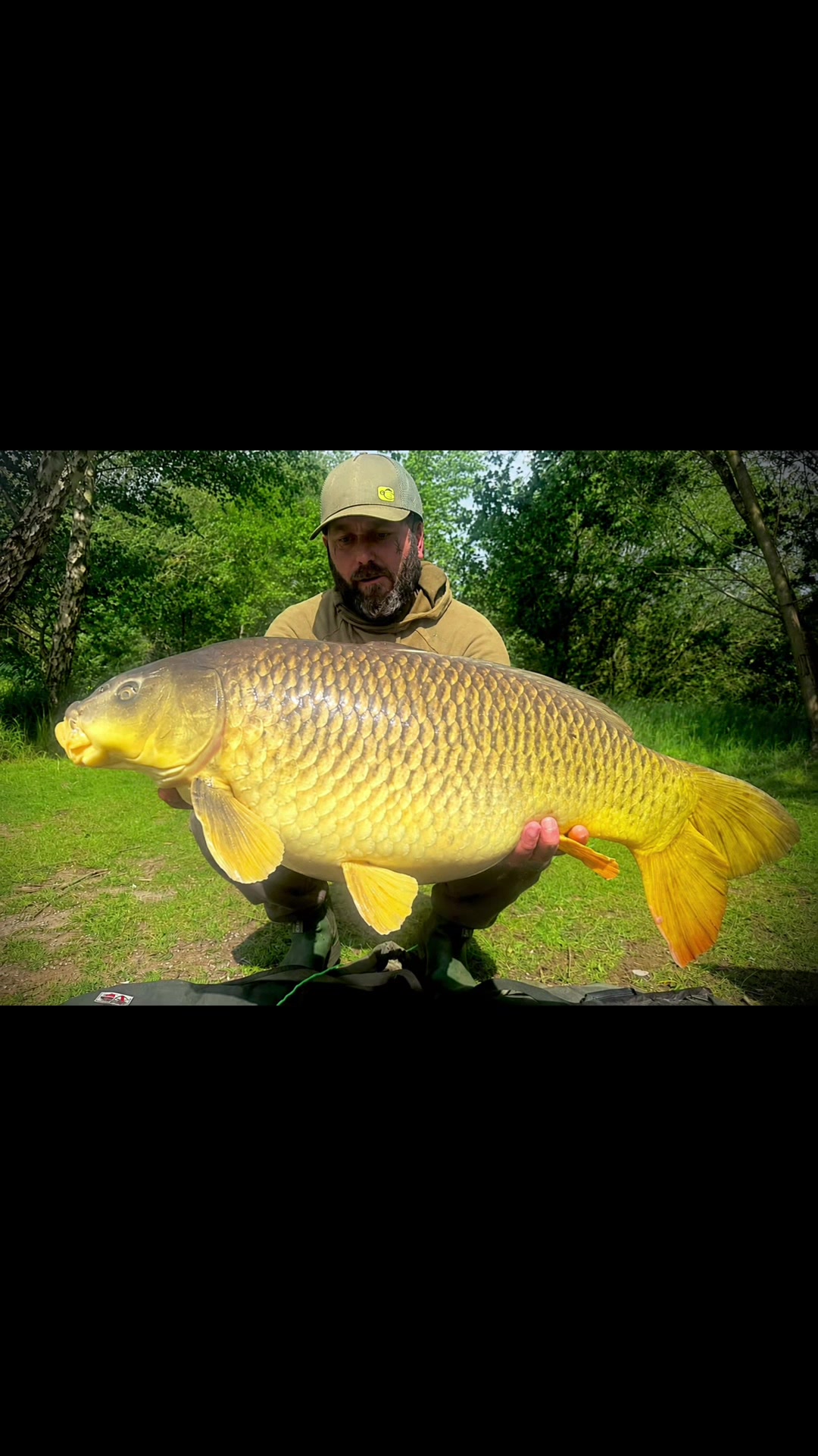 @Ian bank rat davies