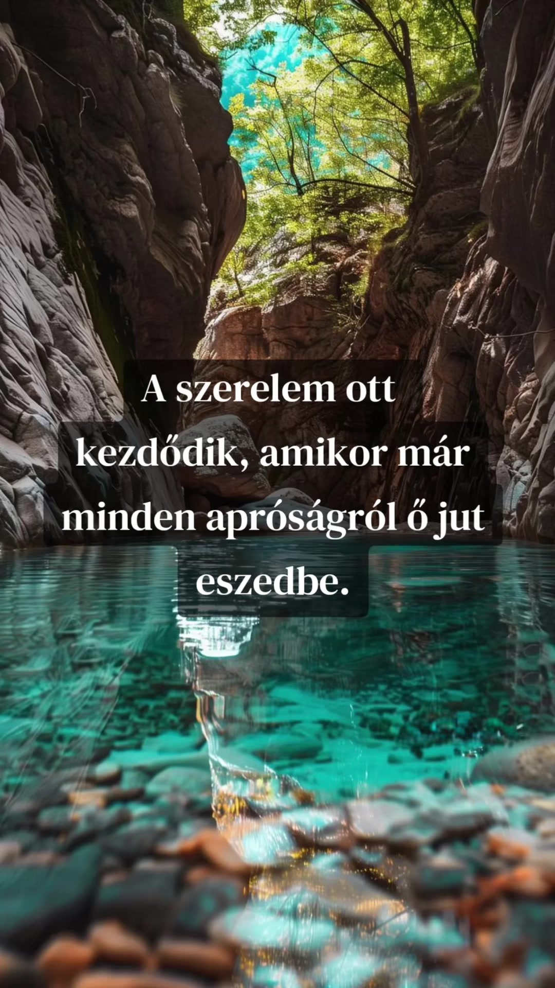 @🎀Timcsi🎀