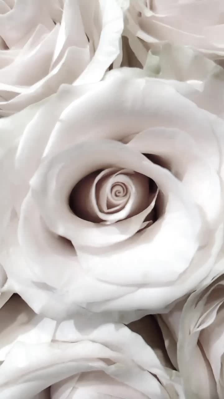 @Amarylis