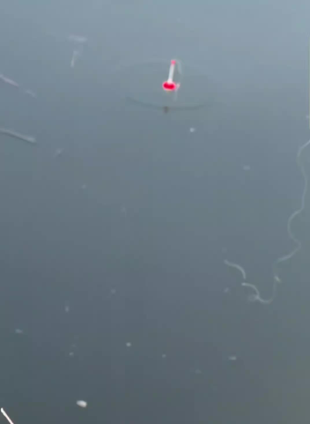 @fishing