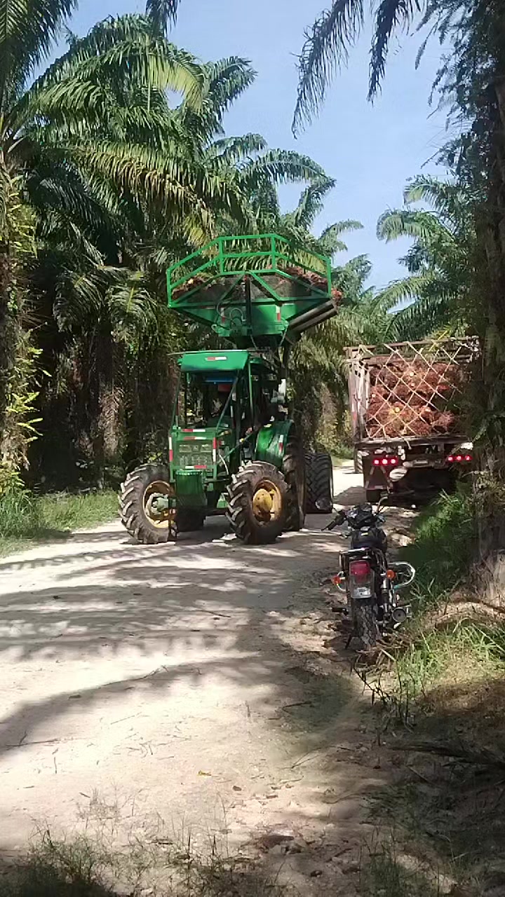 @Elmer. gomez