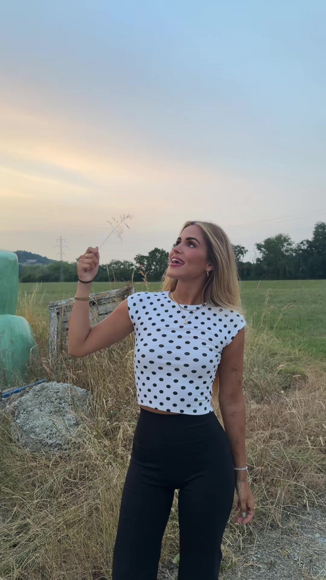 @Alegria