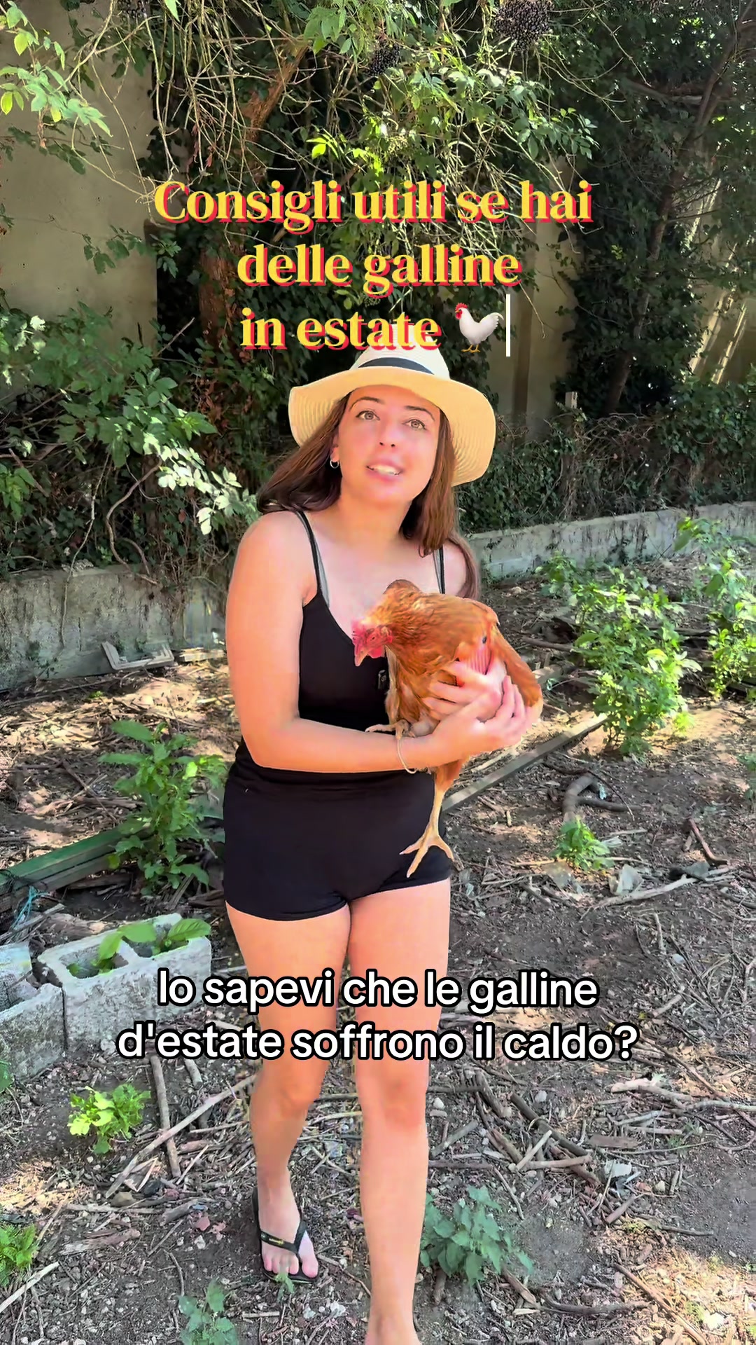@valerianorese