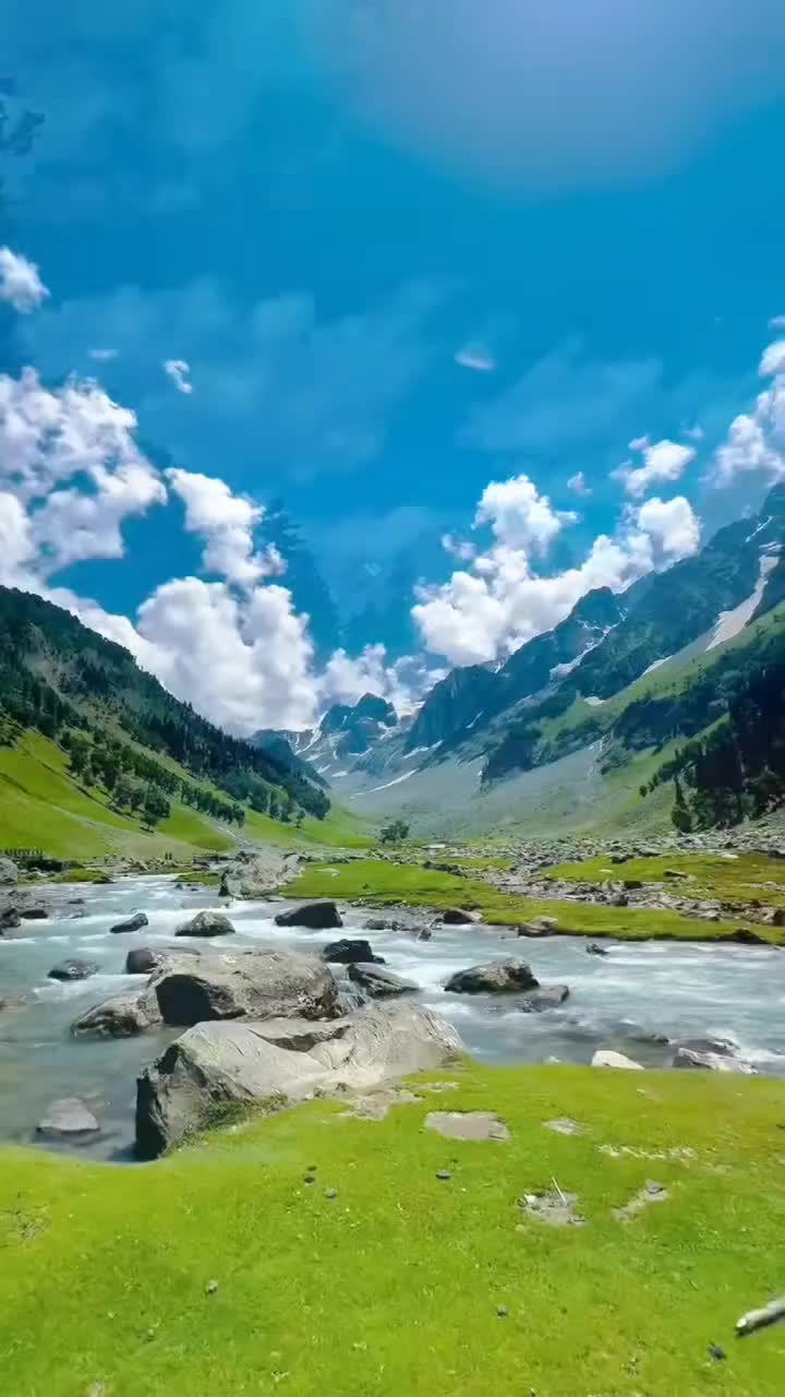 @Lionghoaho