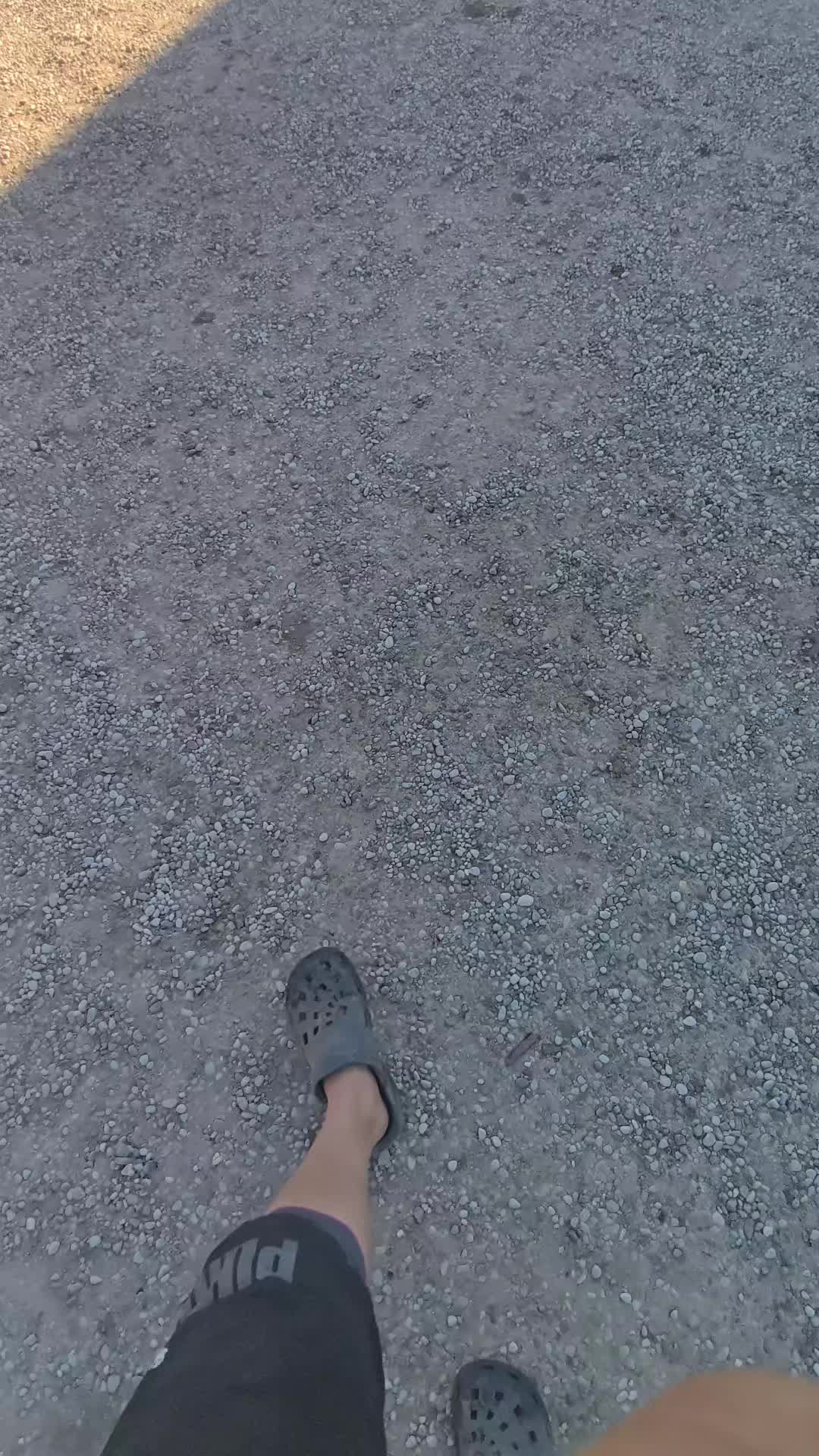 @👻🦊 Lapino &Scaron;mėkla 🦊👻