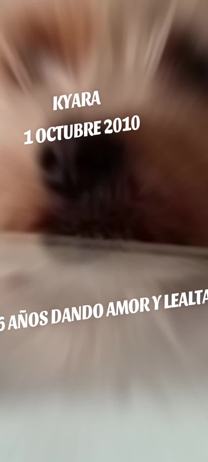 @Jose Manuel Hernande