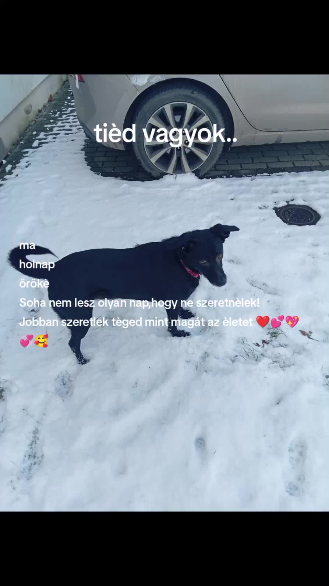 @csak.egy.boldog lány❤️🔥❤️🔐