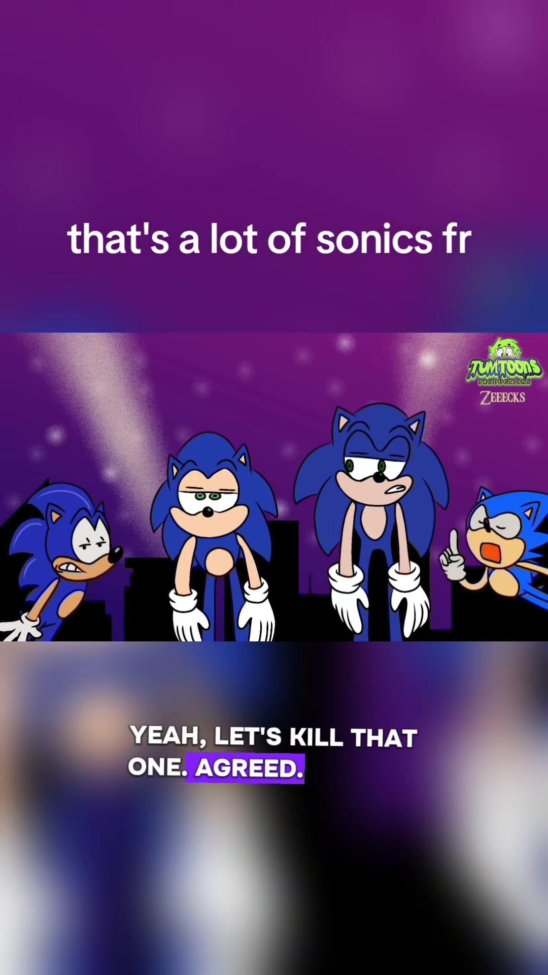 @Sonic Paradox