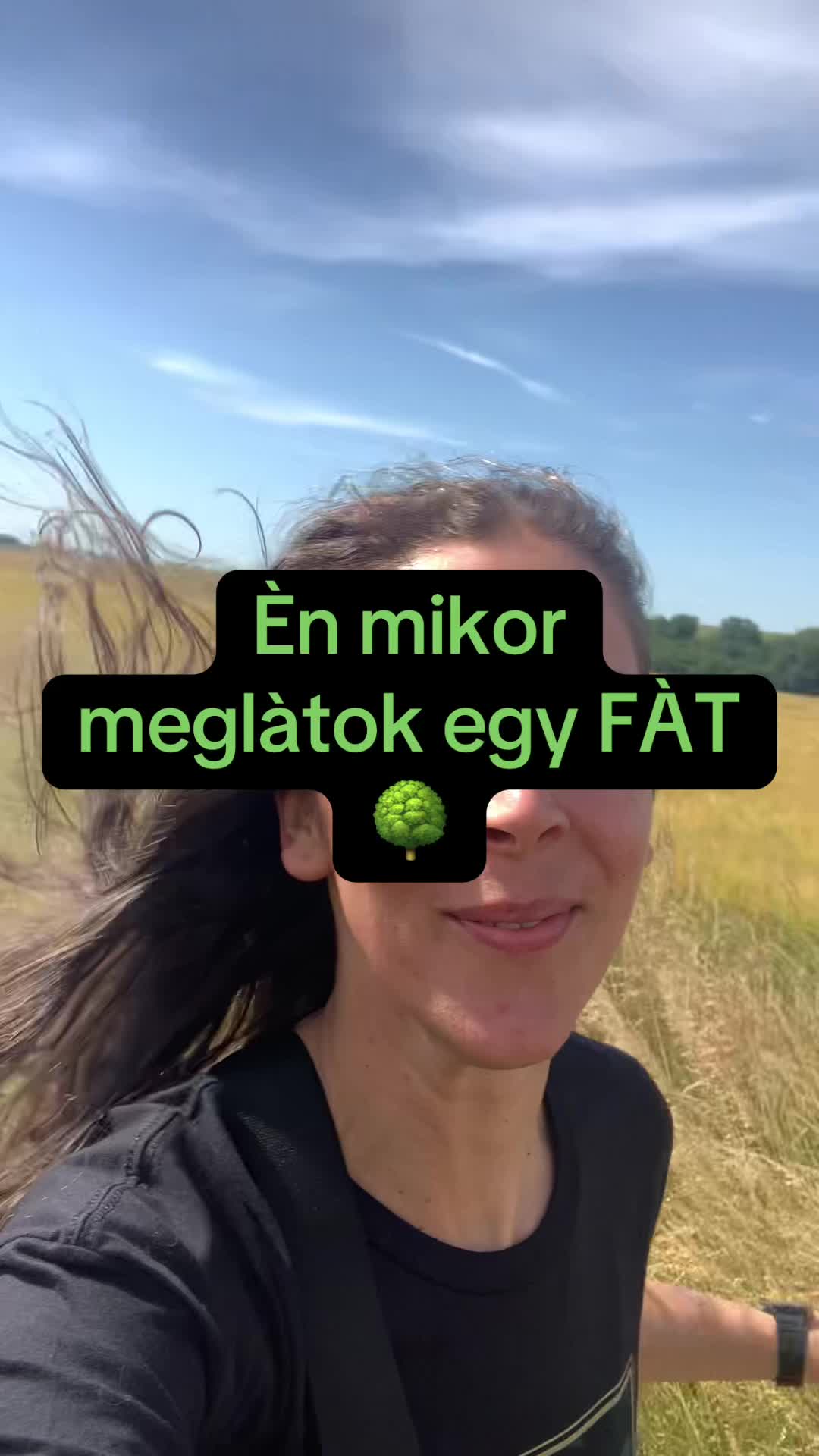 @AnilinA