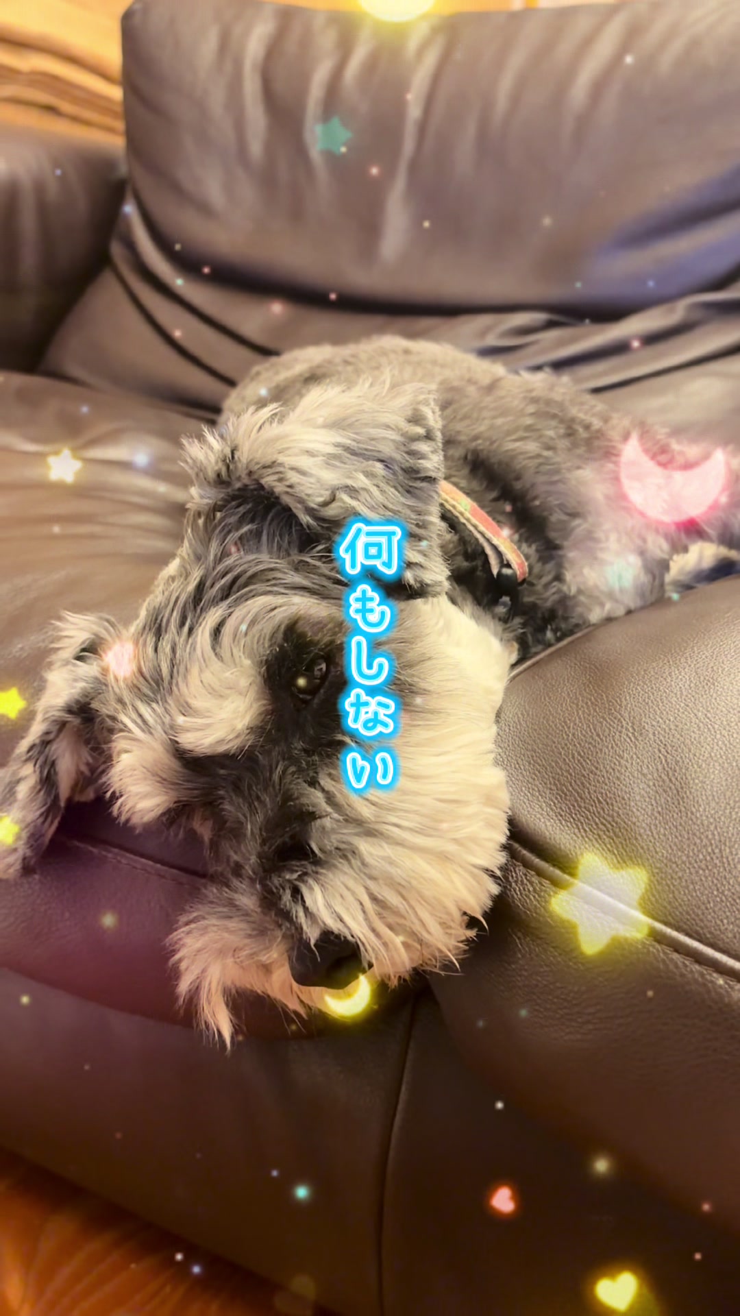 @ポルとムータンの大冒険
