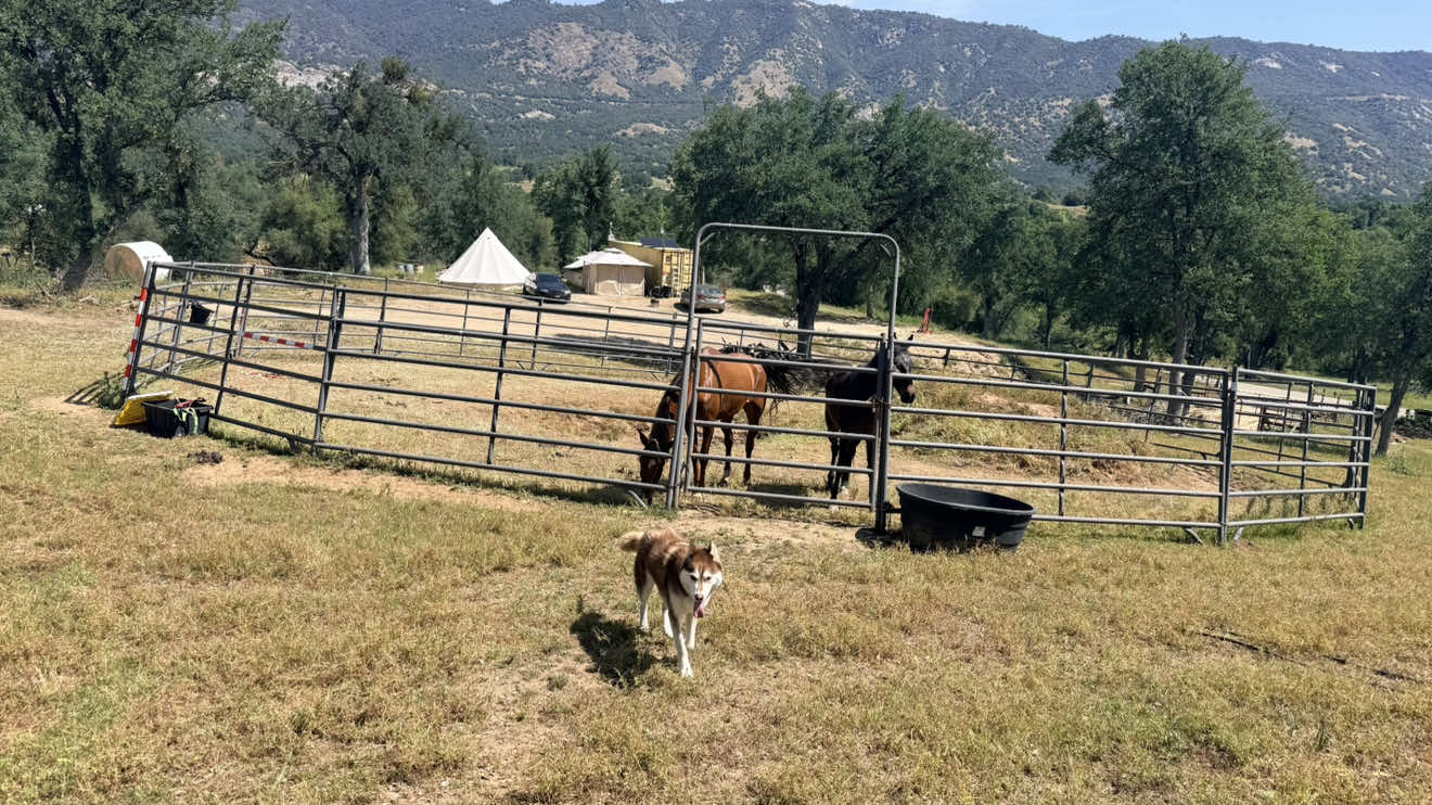 @G7 GuyOnTheRanch