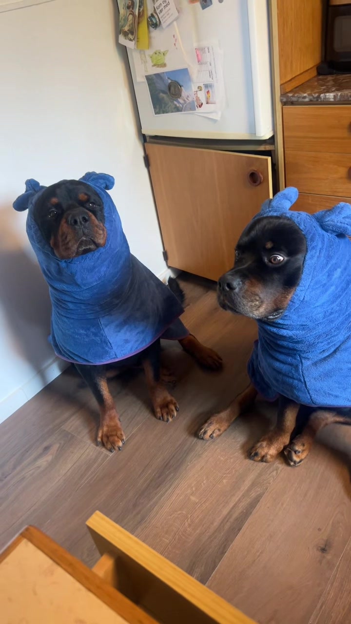 @Marika and her dogs