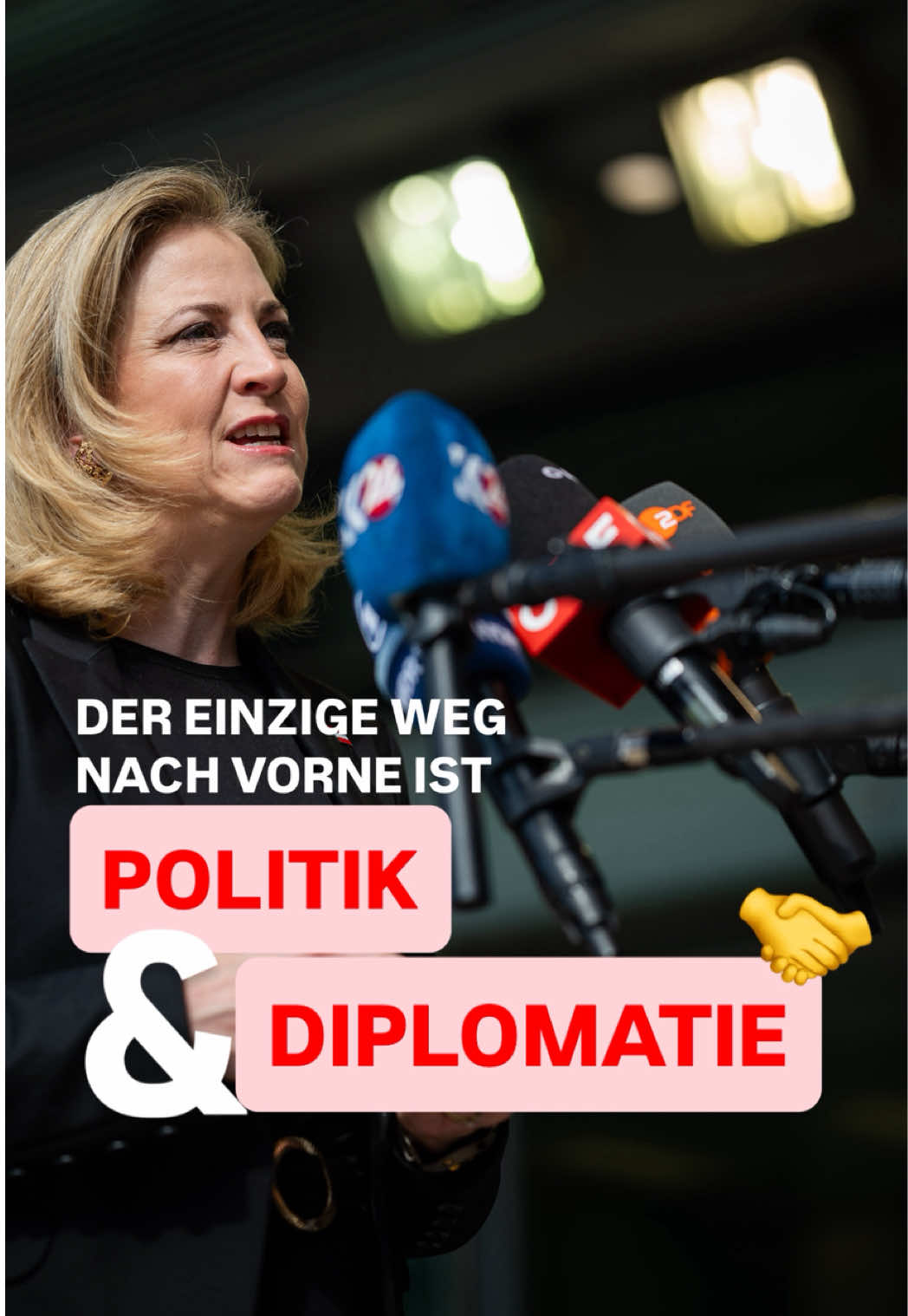 @Beate Meinl-Reisinger