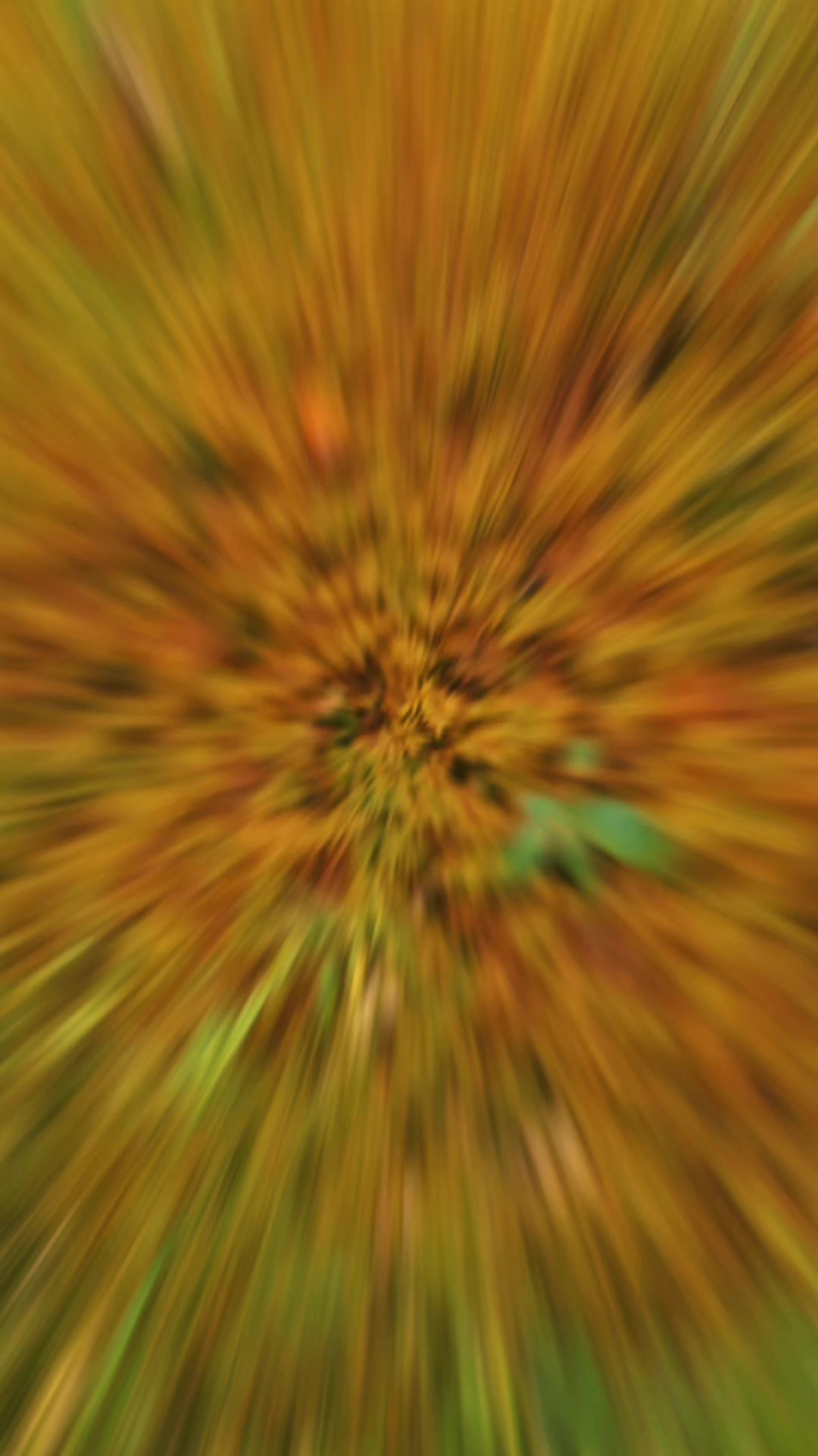@𝓦𝓮𝓼𝓴𝓾