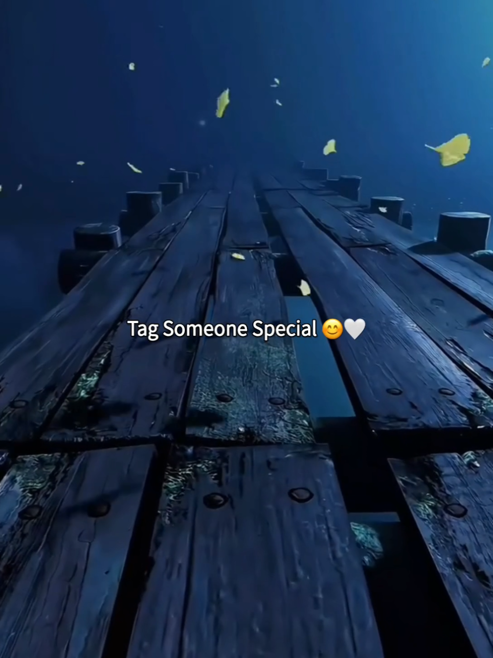 @𝗠𝗶𝗱𝗻𝗶𝗴𝗵𝘁 𝗦𝗼𝘂𝗹 🌙