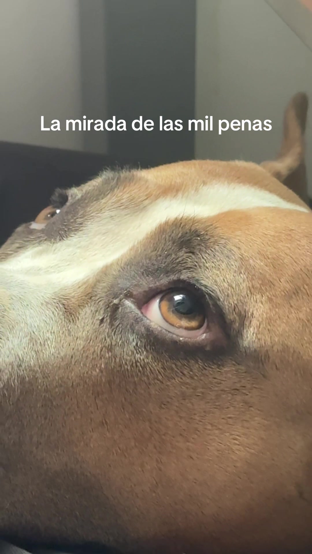 @Cuba y Lilo💖
