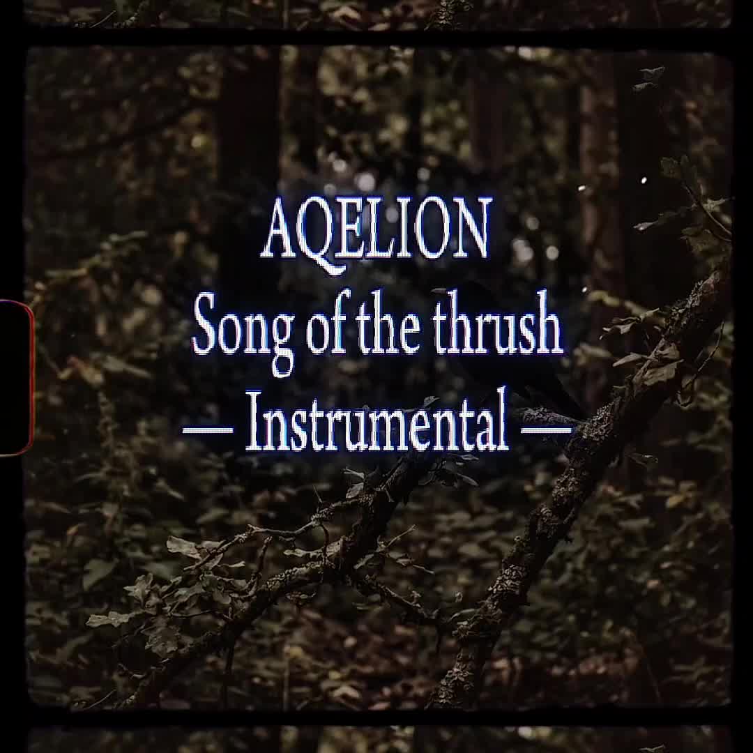 @Aqelion☆