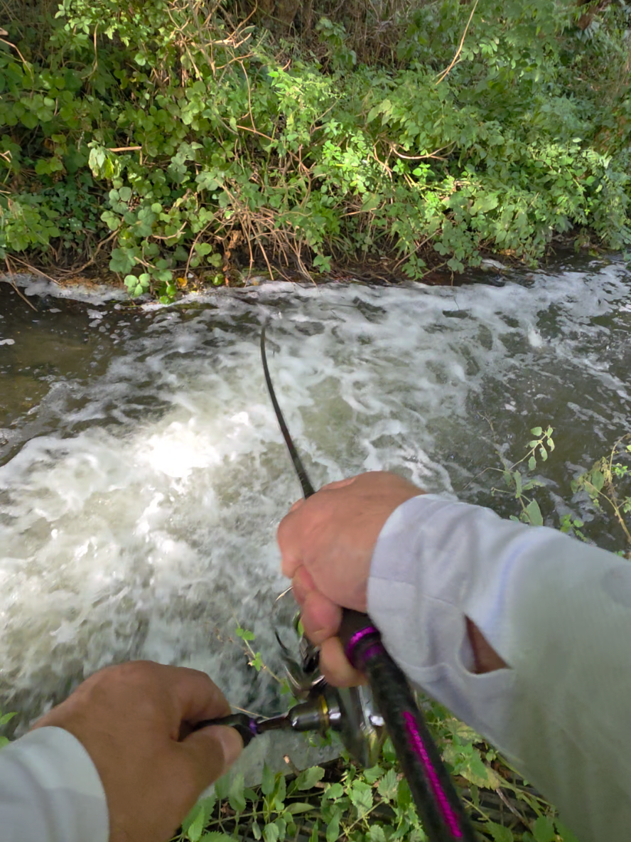 @BF Angler