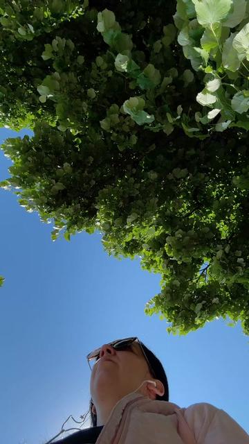 @denisa.marin30