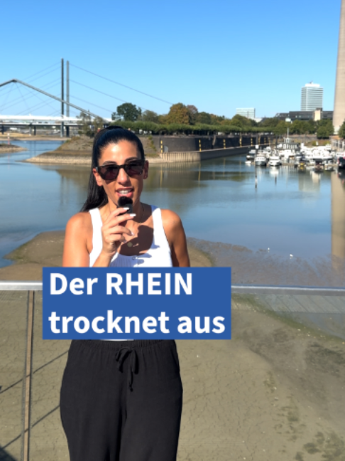 @Frankfurter Allgemeine