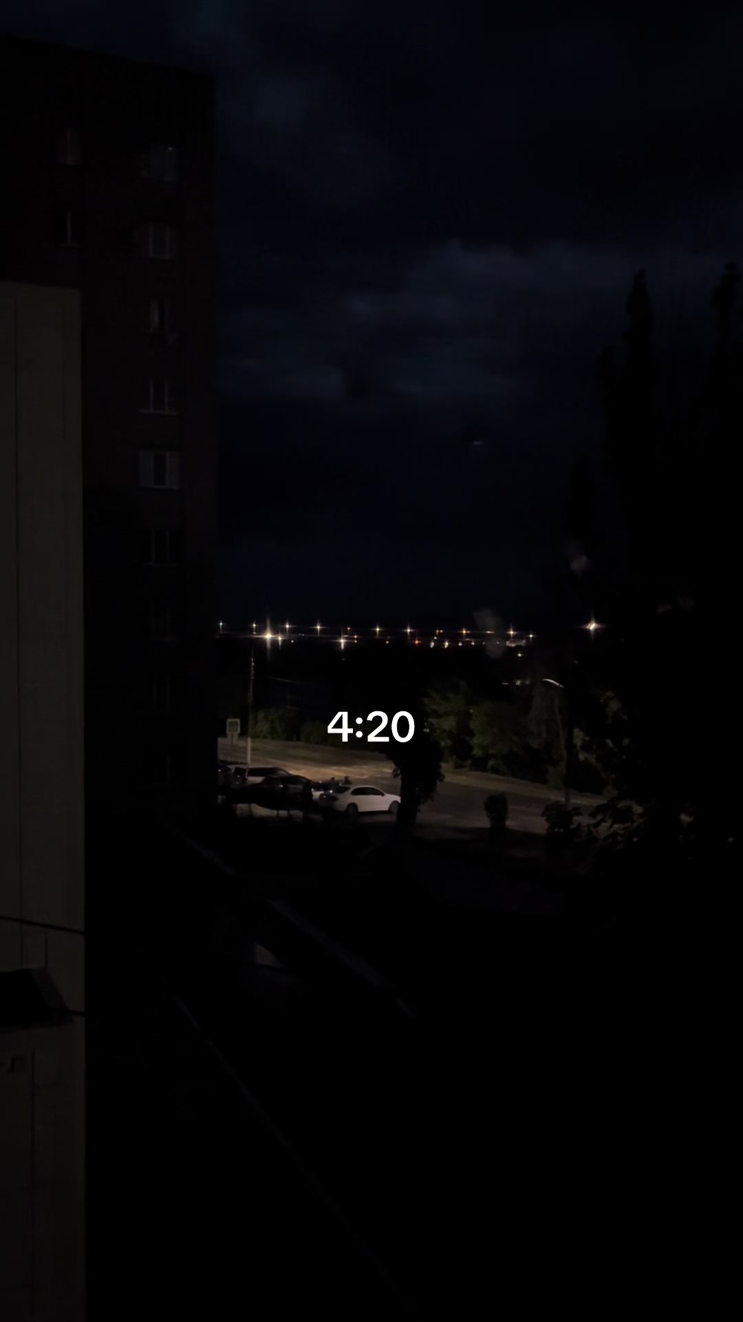 @codex_161