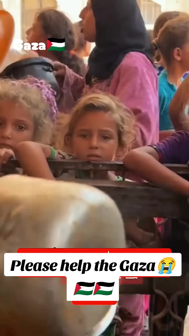 @free Palestinian